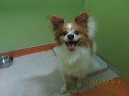 ファイル 4743-1.jpg