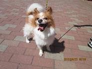 ファイル 4743-2.jpg