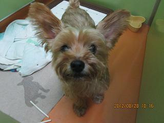 ファイル 4744-1.jpg