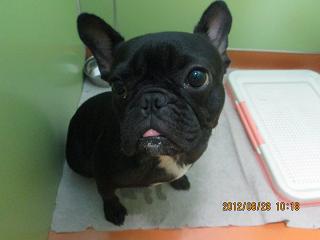 ファイル 4745-1.jpg