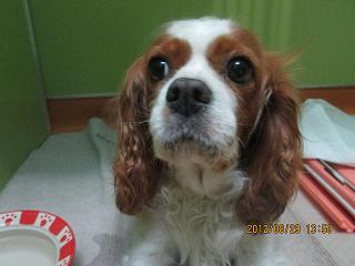 ファイル 4746-2.jpg