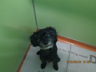 ファイル 4747-1.jpg