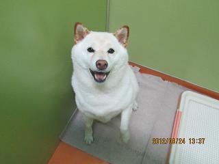 ファイル 4748-1.jpg