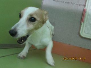 ファイル 4749-1.jpg