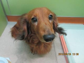 ファイル 4750-1.jpg