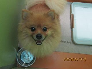 ファイル 4751-1.jpg