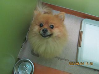 ファイル 4751-2.jpg