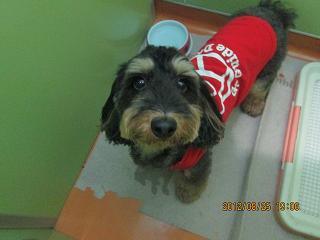 ファイル 4752-1.jpg