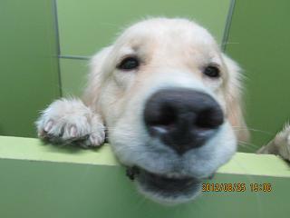 ファイル 4753-1.jpg