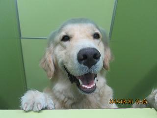 ファイル 4753-2.jpg