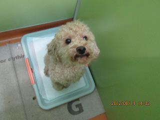 ファイル 4754-1.jpg