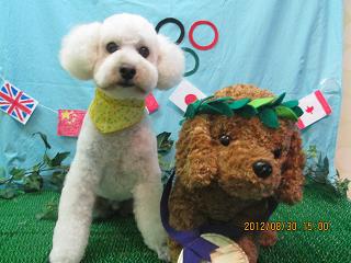 ファイル 4756-2.jpg