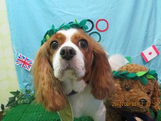 ファイル 4757-1.jpg