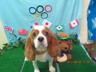 ファイル 4757-2.jpg