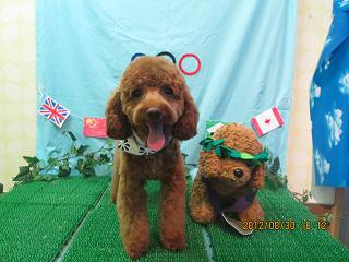 ファイル 4758-2.jpg