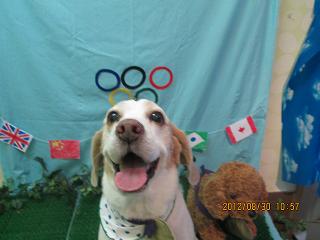 ファイル 4759-1.jpg