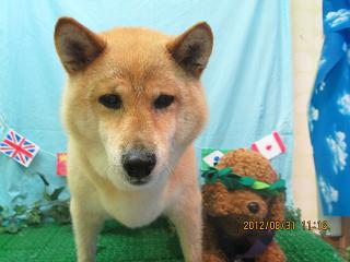 ファイル 4760-2.jpg