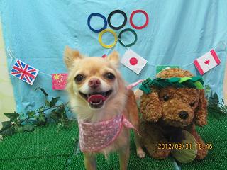 ファイル 4765-2.jpg