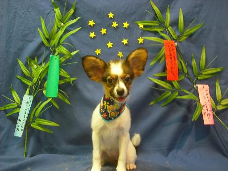 ファイル 4766-2.jpg