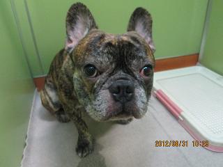 ファイル 4767-1.jpg