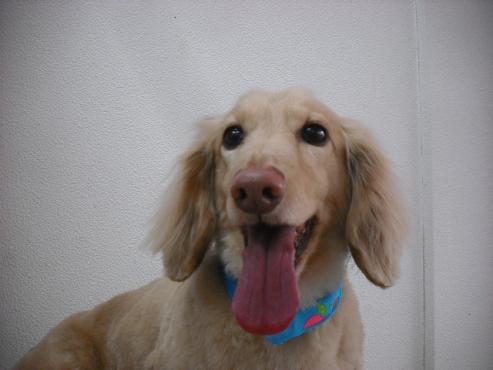 ファイル 477-1.jpg