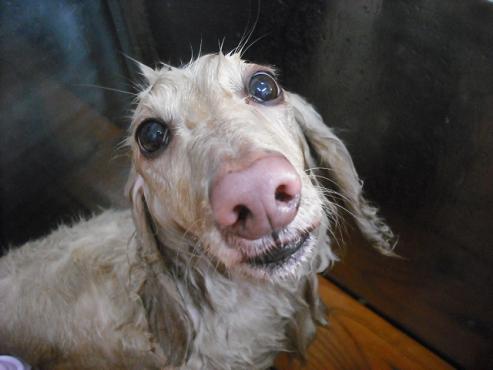 ファイル 477-2.jpg