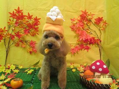 ファイル 4771-1.jpg