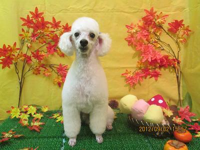 ファイル 4772-2.jpg