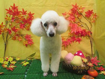 ファイル 4773-2.jpg