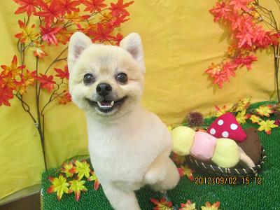 ファイル 4776-2.jpg