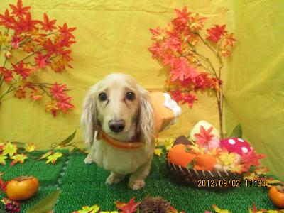 ファイル 4777-2.jpg