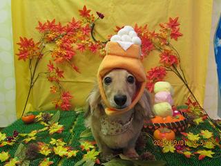 ファイル 4779-1.jpg