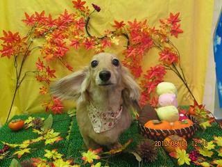 ファイル 4779-2.jpg