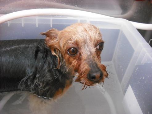 ファイル 478-2.jpg