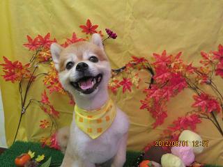 ファイル 4784-1.jpg