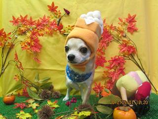 ファイル 4785-1.jpg