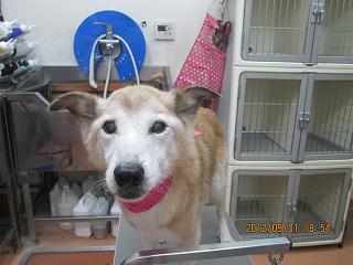 ファイル 4789-1.jpg