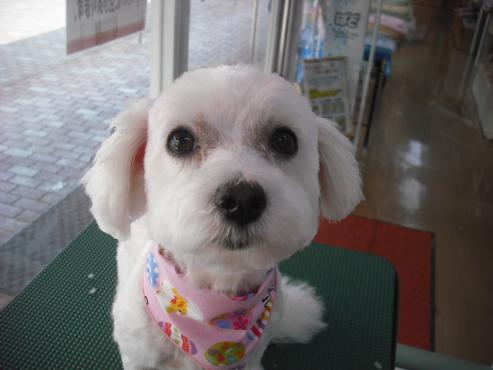 ファイル 479-1.jpg