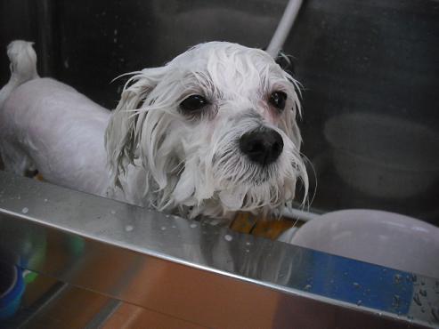 ファイル 479-2.jpg