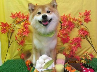 ファイル 4790-2.jpg