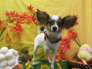 ファイル 4791-2.jpg