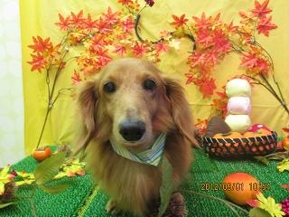 ファイル 4792-2.jpg