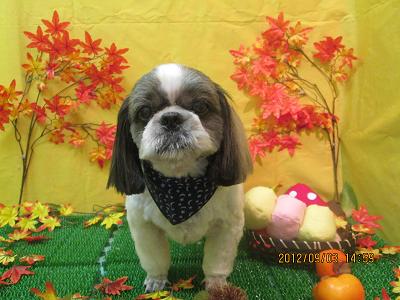 ファイル 4794-2.jpg