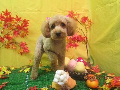 ファイル 4795-1.jpg