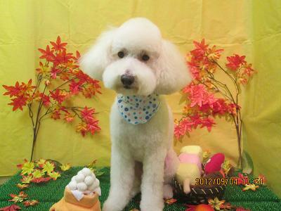 ファイル 4798-2.jpg