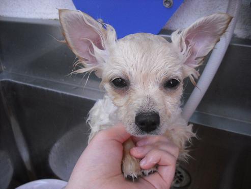 ファイル 48-2.jpg