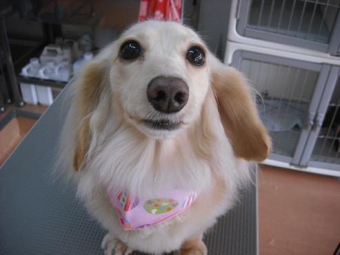 ファイル 480-1.jpg