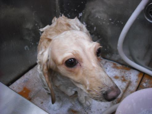 ファイル 480-2.jpg