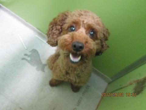 ファイル 4801-1.jpg