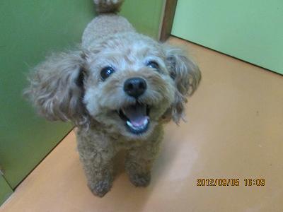 ファイル 4802-1.jpg